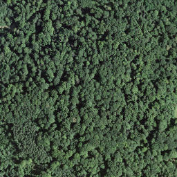 Satellite imagery of Grenzstein 140, CH