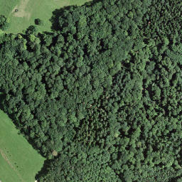 Satellite imagery of Grenzstein 113, CH