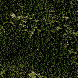 Satellite imagery of Rauheck, DE