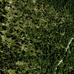 Satellite imagery of Rauheck, DE