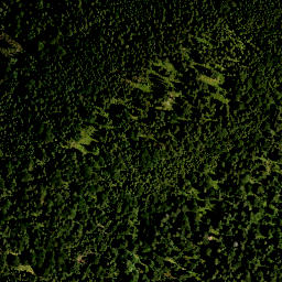 Satellite imagery of Altlachberg, DE