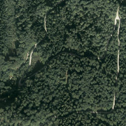 Satellite imagery of Pass Lueg, AT