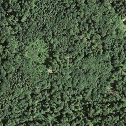 Satellite imagery of Grenzstein 140, CH