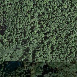 Satellite imagery of Grenzstein 105, CH