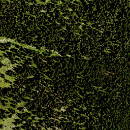 Satellite imagery of Plattlaine, DE