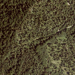 Satellite imagery of Larchberg, AT