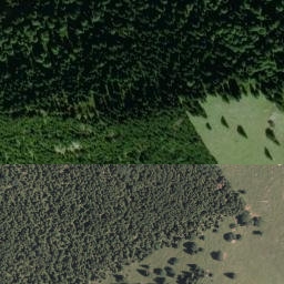 Satellite imagery of Westerkienberg, DE