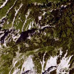 Satellite imagery of Lösertalkopf, DE