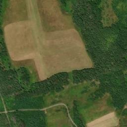 Satellite imagery of Wild Hill, CA