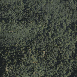 Satellite imagery of Kalvarienberg, DE