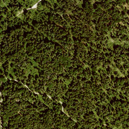 Satellite imagery of Altlachberg, DE