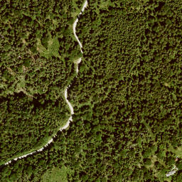 Satellite imagery of Altlacher Hochkopf, DE