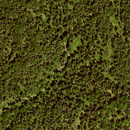 Satellite imagery of Altlacher Hochkopf, DE
