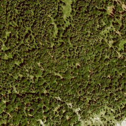 Satellite imagery of Altlacher Hochkopf, DE