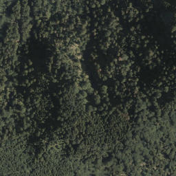 Satellite imagery of Schwarzenberg, AT