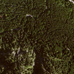 Satellite imagery of Schloss Neuschwanstein, DE