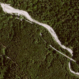 Satellite imagery of Schloss Neuschwanstein, DE