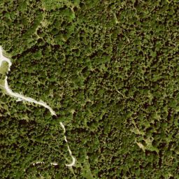 Satellite imagery of Altlacher Hochkopf, DE