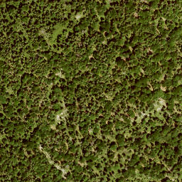 Satellite imagery of Altlacher Hochkopf, DE