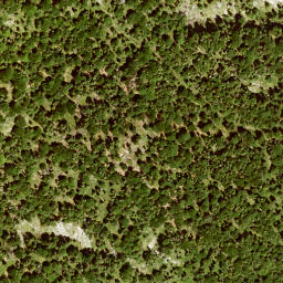 Satellite imagery of Altlacher Hochkopf, DE