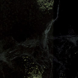 Satellite imagery of Hageneck, AT