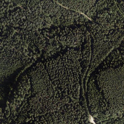 Satellite imagery of Grosser Pfaff, AT