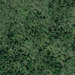Satellite imagery of POINT 3 — NGS SX1497 — King County, US, US