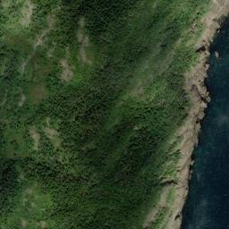Satellite imagery of Flowers Point, CA