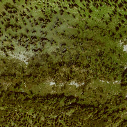 Satellite imagery of Wallgauereck, DE