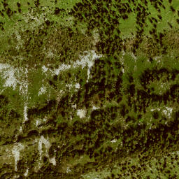 Satellite imagery of Wallgauereck, DE