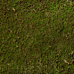 Satellite imagery of Neugläger Kopf, DE