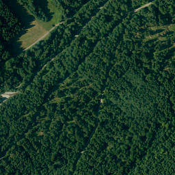 Satellite imagery of Wolfsbüchel, DE