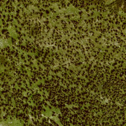 Satellite imagery of Wallgauereck, DE