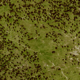 Satellite imagery of Wallgauereck, DE