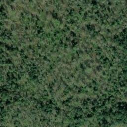 Satellite imagery of PRESTON — NGS SX1477 — King County, US, US