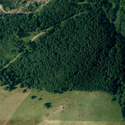 Satellite imagery of Wolfsbüchel, DE