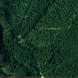 Satellite imagery of Wolfsbüchel, DE