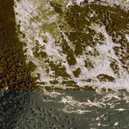 Satellite imagery of Schäferblasse, DE
