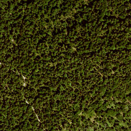 Satellite imagery of Reschberg, DE