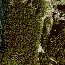 Satellite imagery of Niederer Fricken, DE