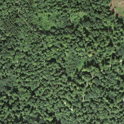 Satellite imagery of 1932, CH