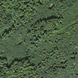Satellite imagery of boundary_stone, CH