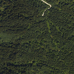 Satellite imagery of Wolfsbüchel, DE