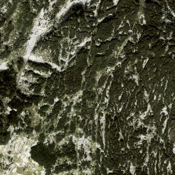 Satellite imagery of Niederer Hirschberg, AT