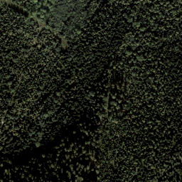 Satellite imagery of Schmalzkogel, AT