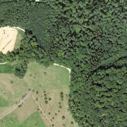 Satellite imagery of 1810, CH