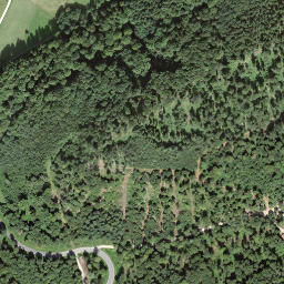 Satellite imagery of Bürersteig, CH