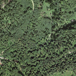 Satellite imagery of Bürersteig, CH