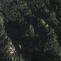 Satellite imagery of Schwarzenkopf, DE