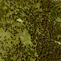 Satellite imagery of Unterrauheck, DE